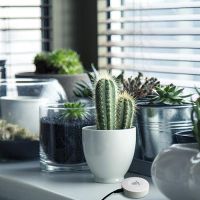 Zakres zastosowa� - ro�liny